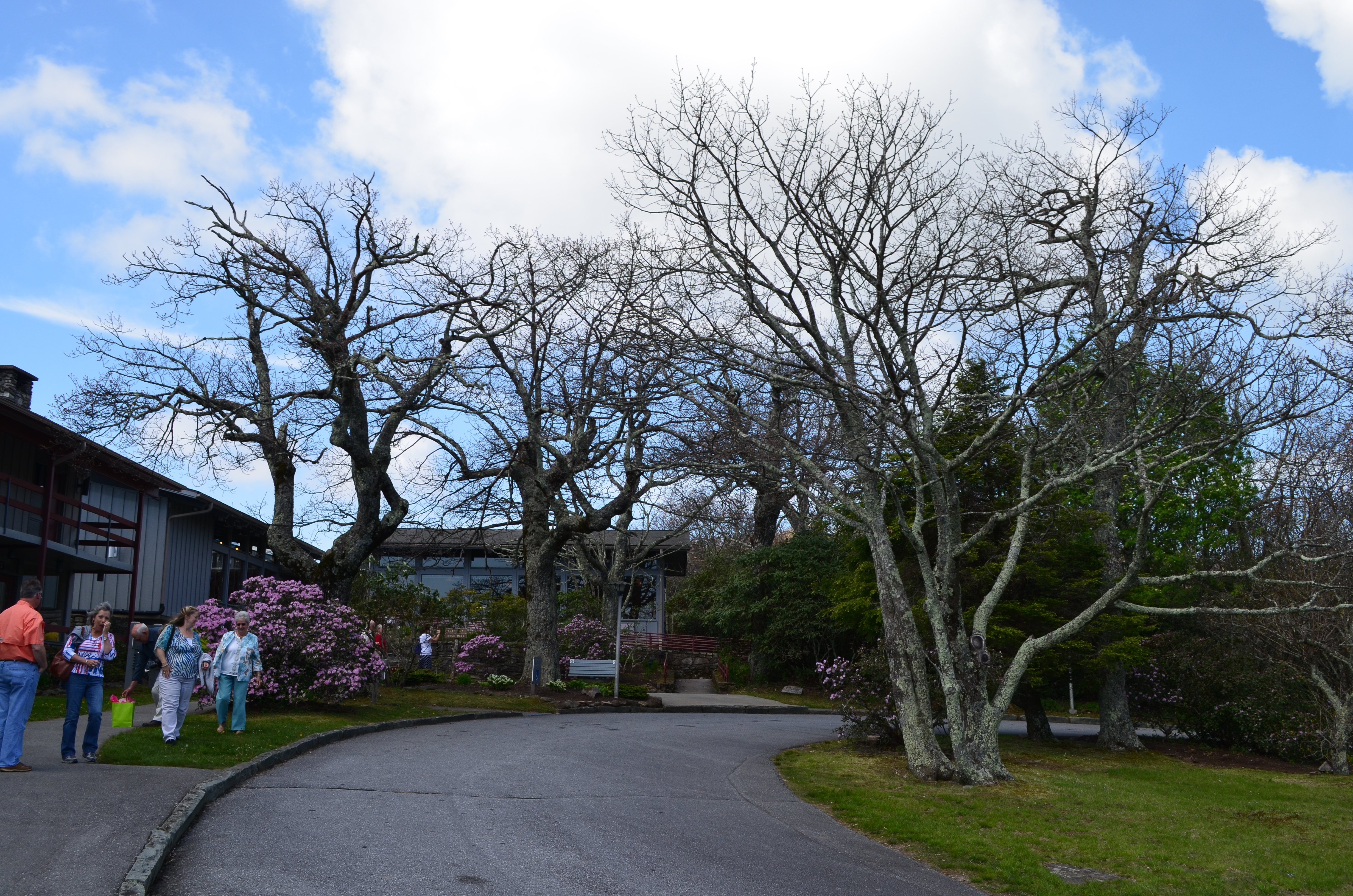 ./2015/10 - Carina's Graduation/DSC_0338.JPG